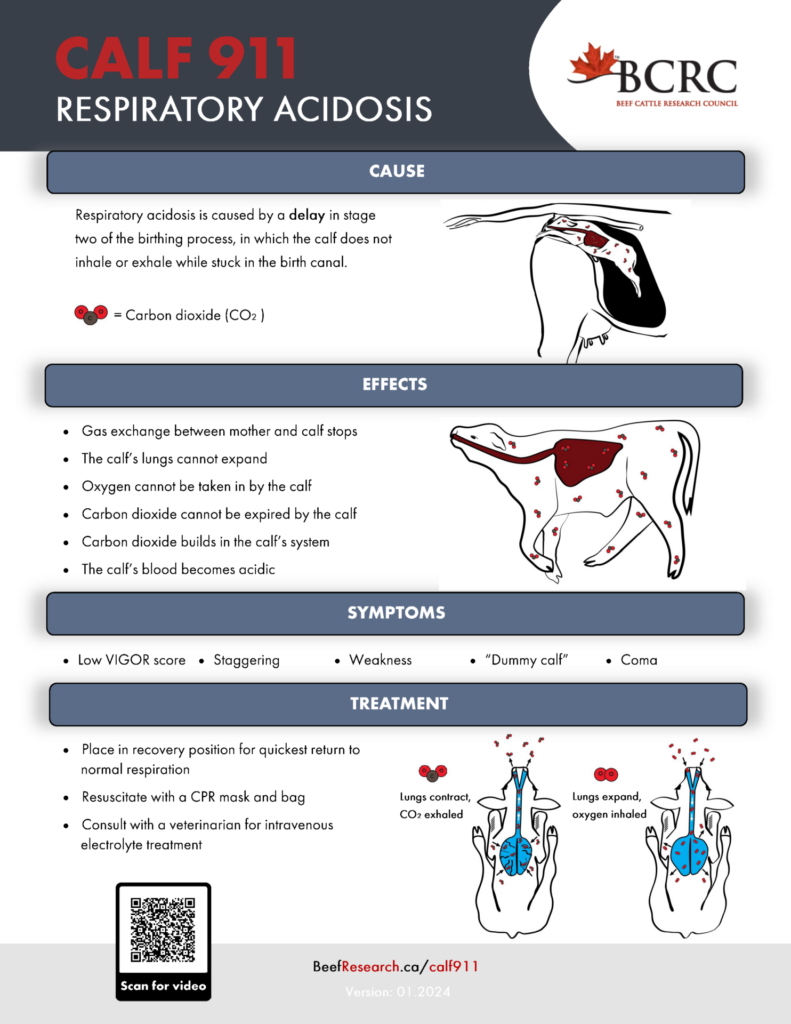 BCRC respiratory acidosis guide