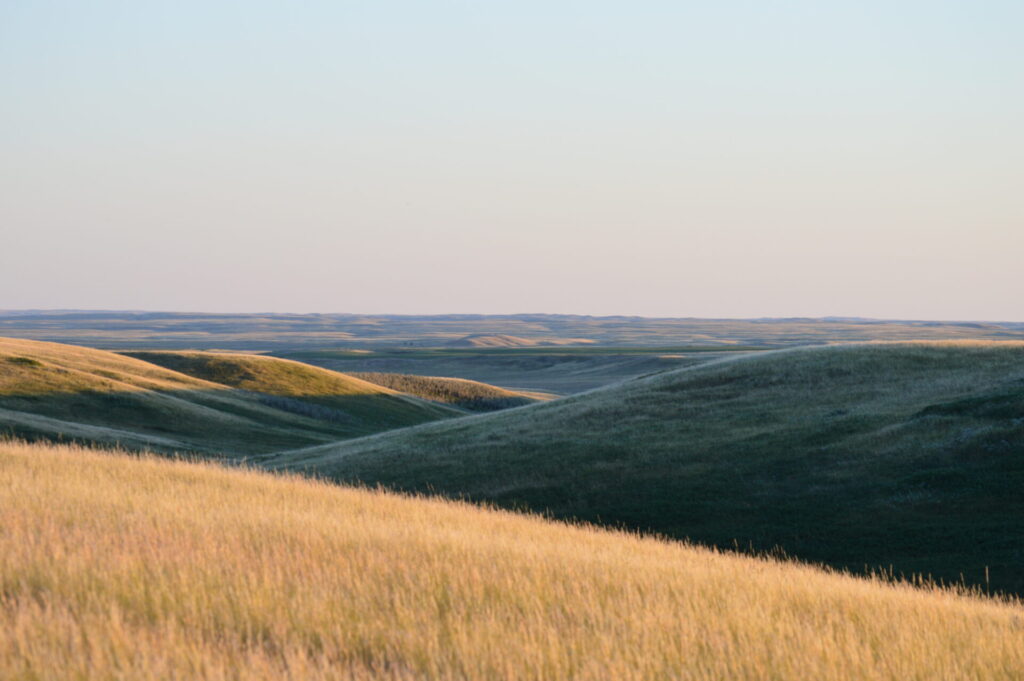 prairie landscape